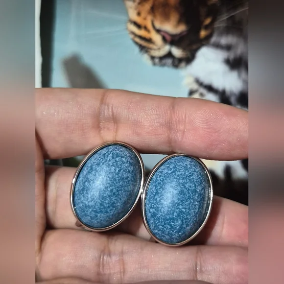 Kenneth Jay Lane Blue and Silver Earrings - Picture 2 of 3
